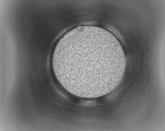 X0000113260155200910221046