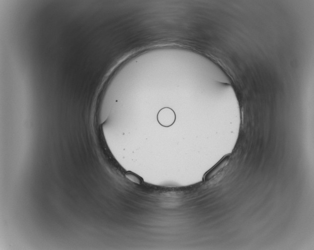 X0000113260156200910221046