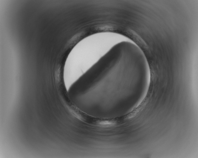 X0000113260163200910221046