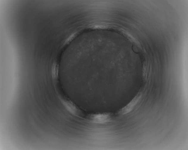 X0000113260168200910221046