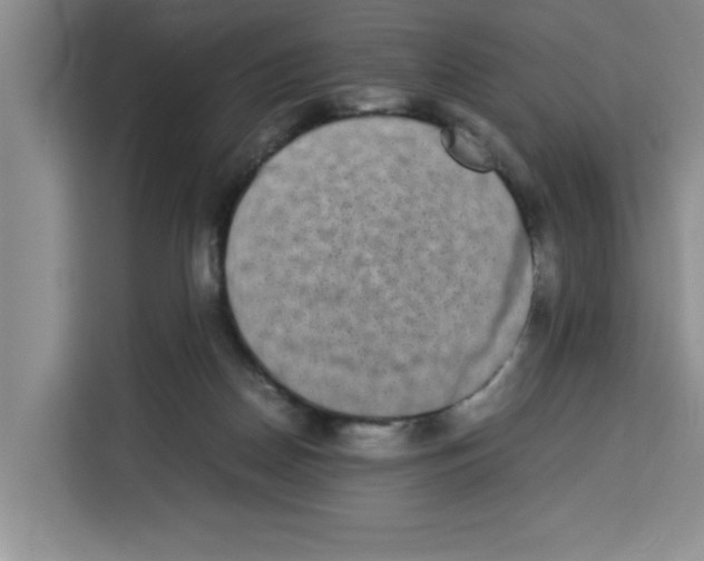 X0000113260170200910221046