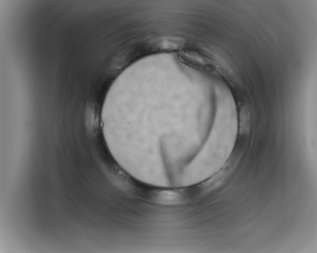 X0000113260176200910221046