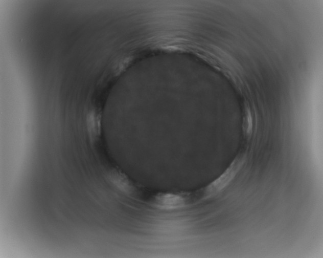 X0000113260180200910221046