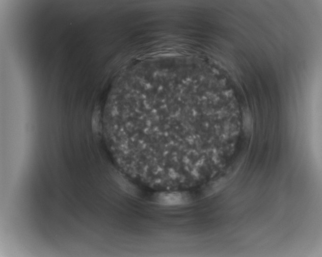 X0000113260181200910221046