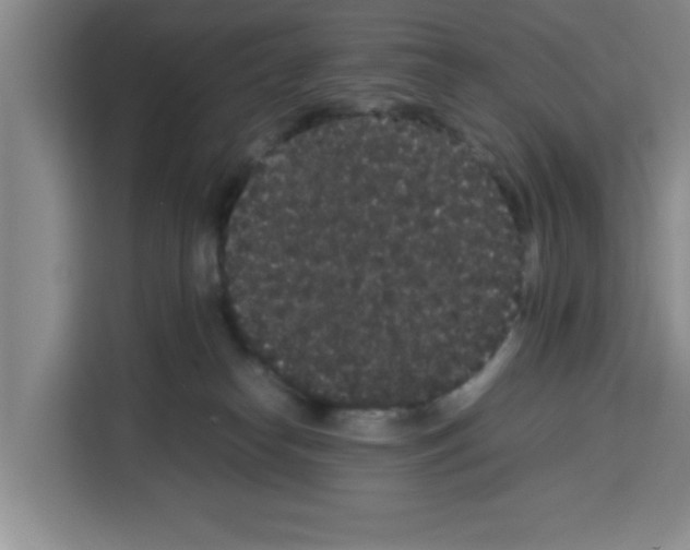 X0000113260182200910221046