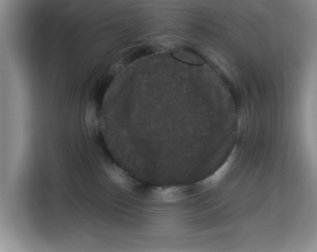 X0000113260186200910221046