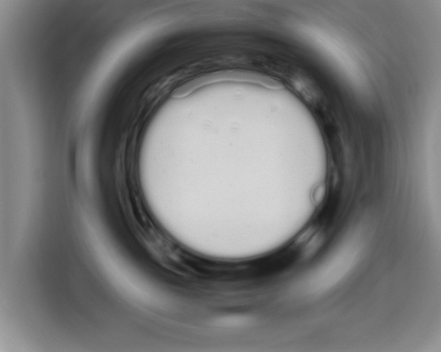 X0000113260189200910221046