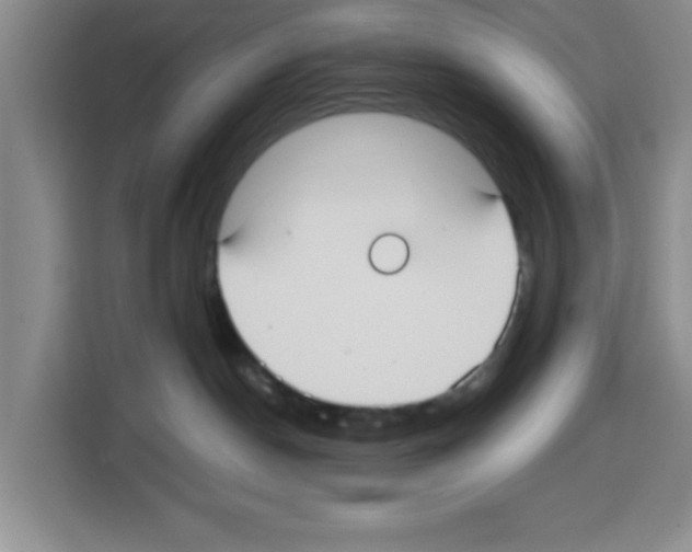 X0000113260190200910221046