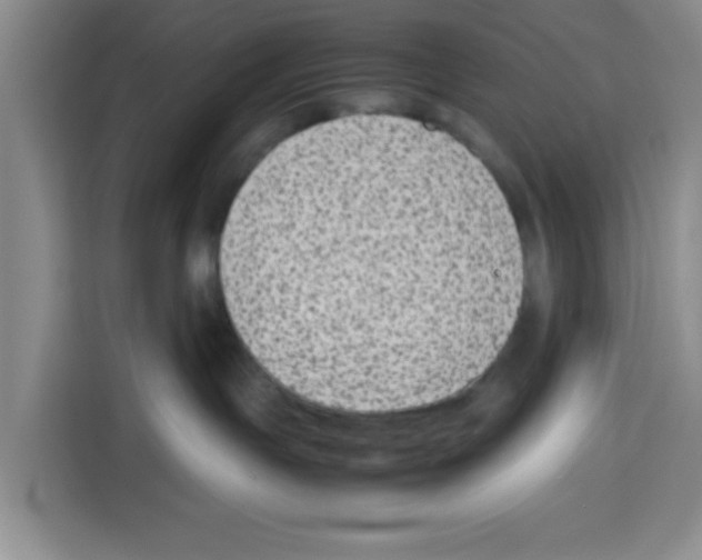 X0000113260191200910221046