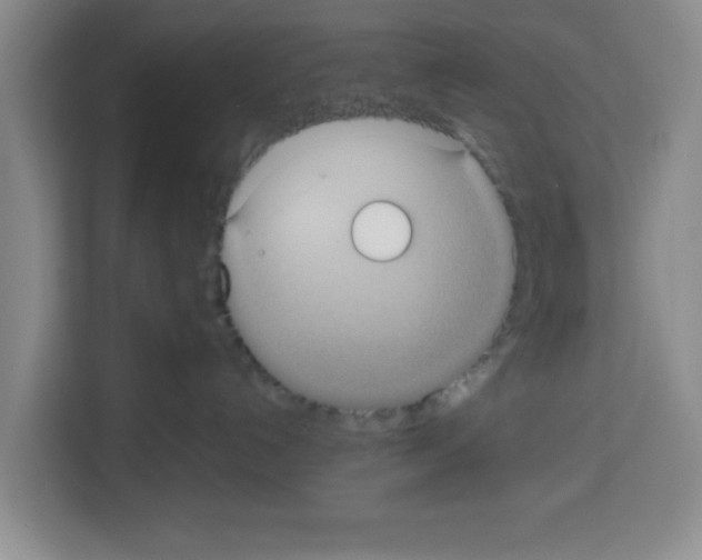 X0000113260192200910221046