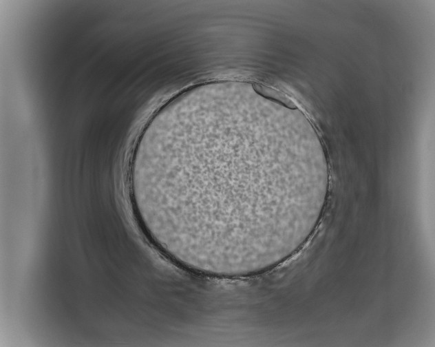 X0000113260193200910221046