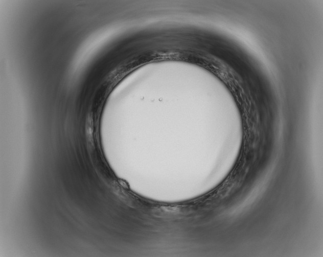 X0000113260194200910221046