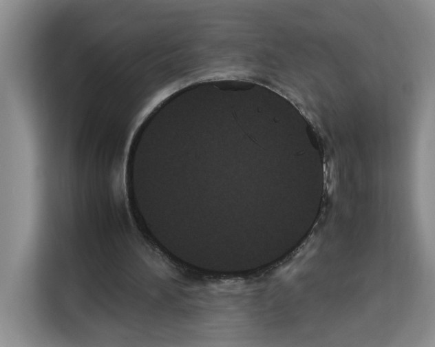 X0000113260196200910221046