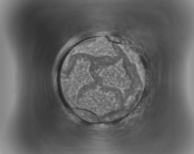 X0000113260197200910221046