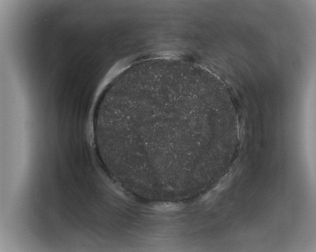X0000113260198200910221046