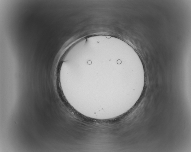X0000113260199200910221046