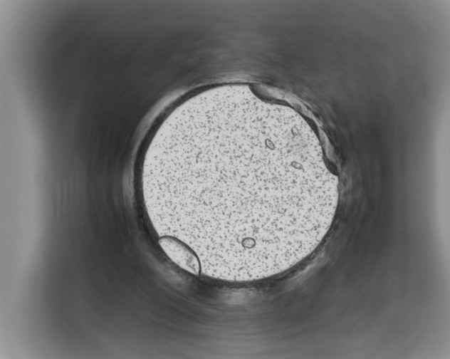 X0000113260200200910221046