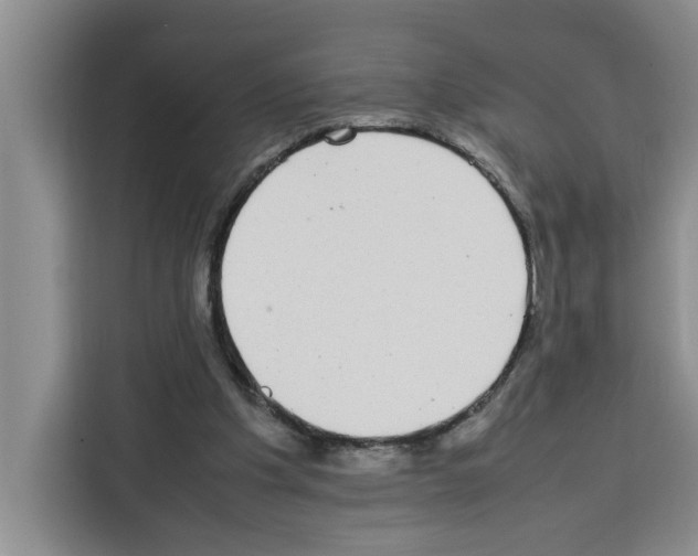 X0000113260201200910221046