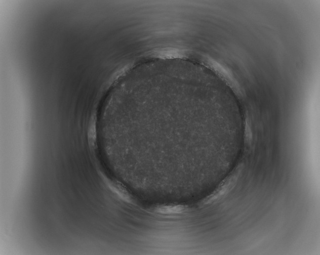 X0000113260202200910221046