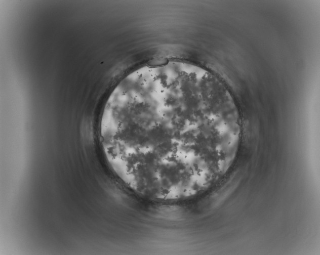 X0000113260203200910221046