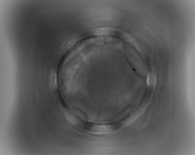 X0000113260205200910221046
