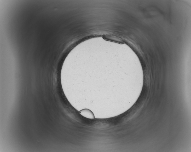 X0000113260207200910221046