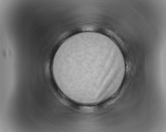 X0000113260209200910221046