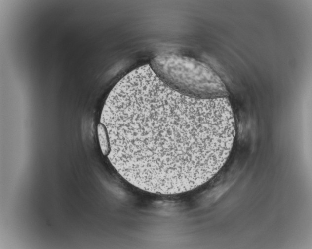 X0000113260211200910221046