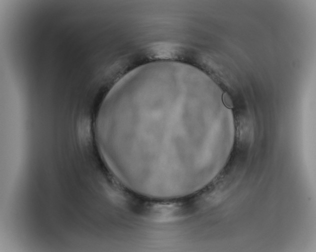 X0000113260213200910221046
