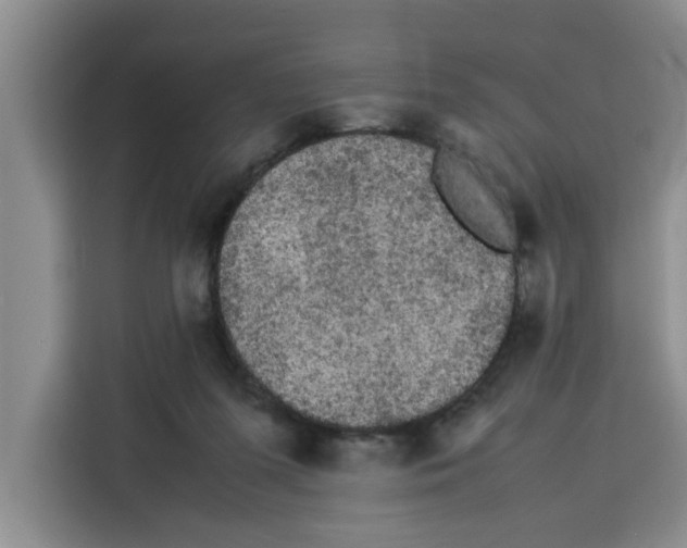 X0000113260215200910221045