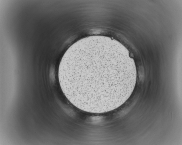 X0000113260216200910221045