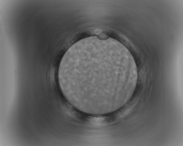X0000113260217200910221045