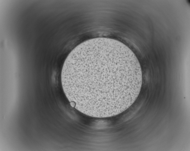 X0000113260218200910221045