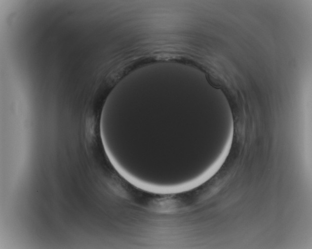 X0000113260219200910221045