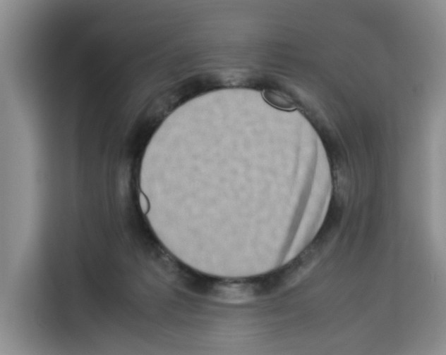 X0000113260221200910221045