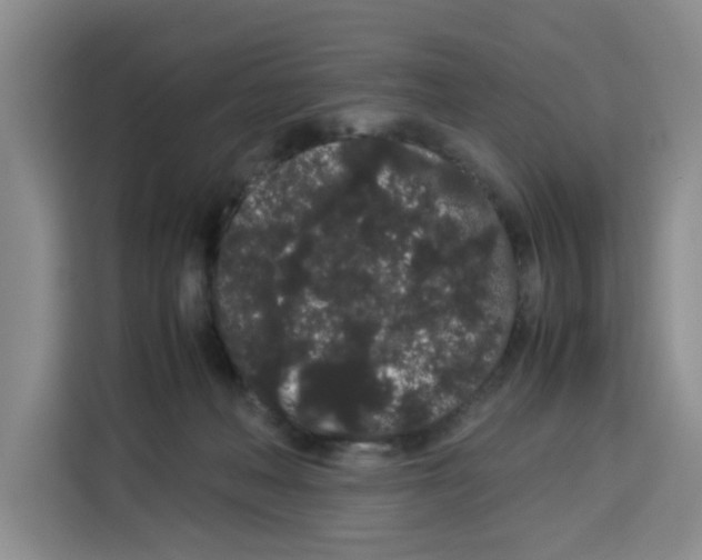 X0000113260222200910221045