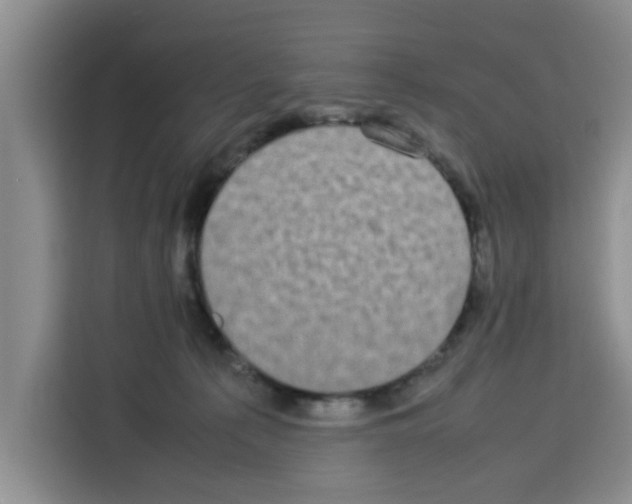 X0000113260225200910221045