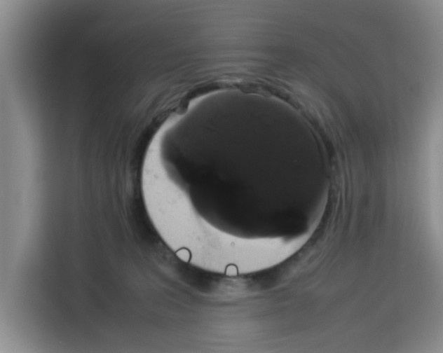 X0000113260227200910221045