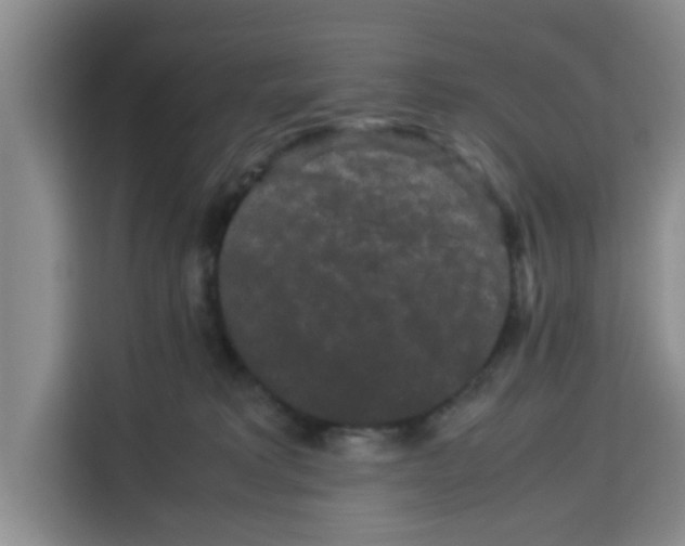 X0000113260229200910221045