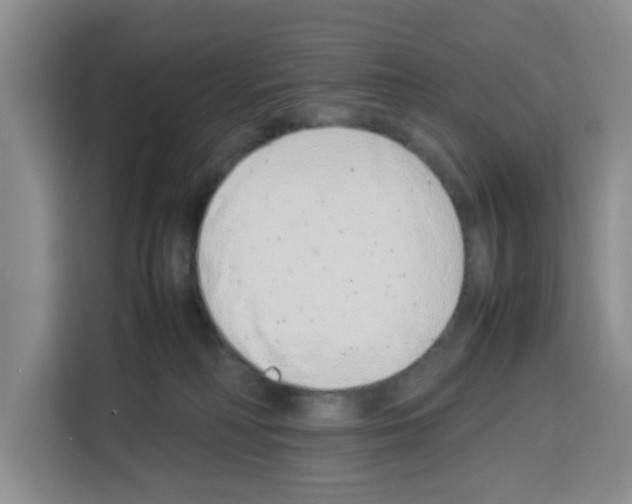 X0000113260230200910221045