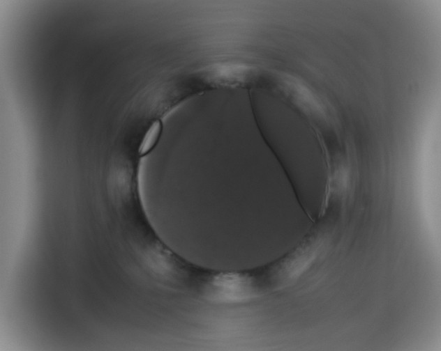X0000113260231200910221045