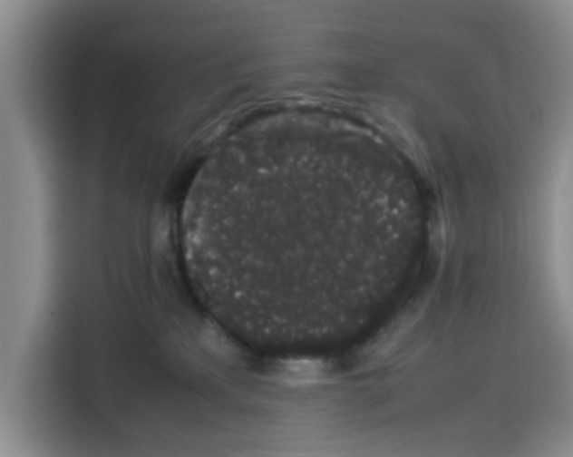 X0000113260233200910221045