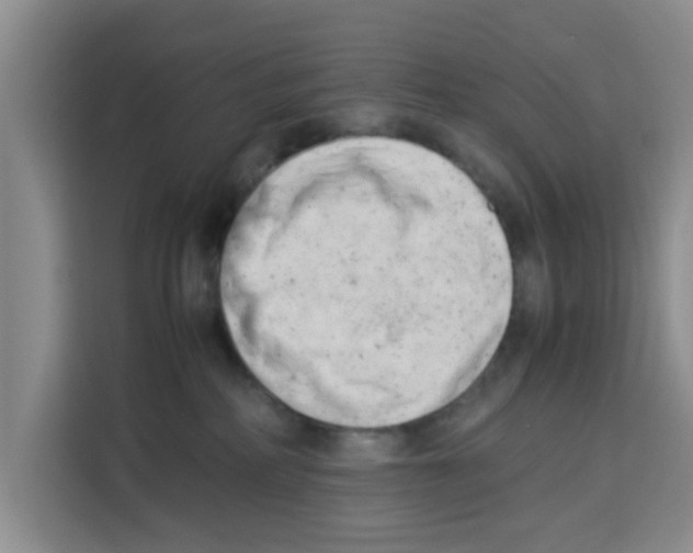 X0000113260234200910221045