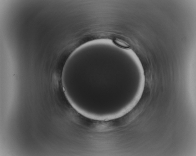 X0000113260235200910221045