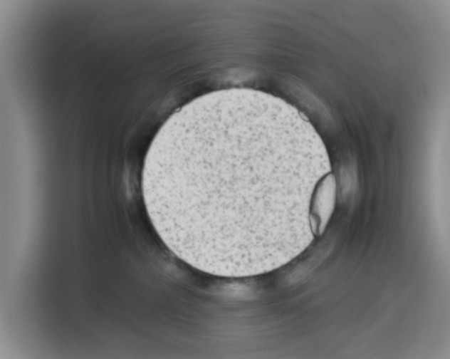 X0000113260236200910221045