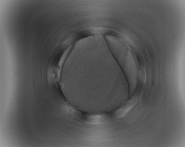 X0000113260237200910221045