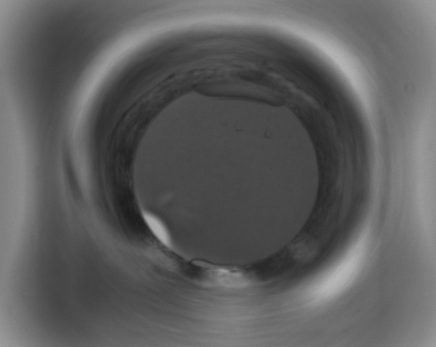 X0000113260239200910221045