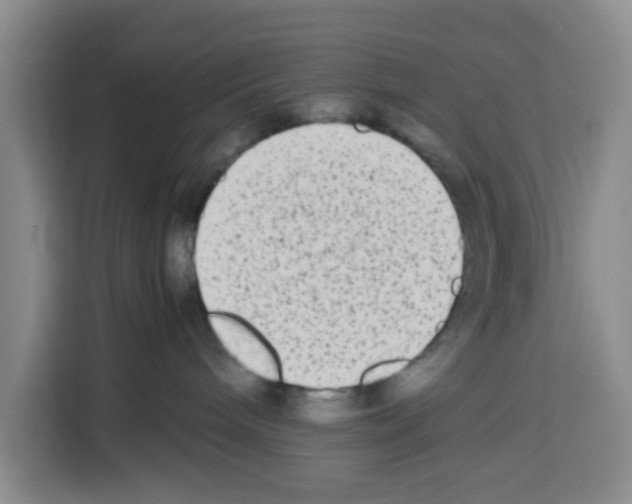 X0000113260240200910221045