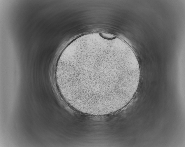 X0000113260241200910221045
