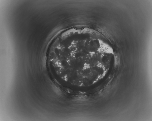 X0000113260243200910221045